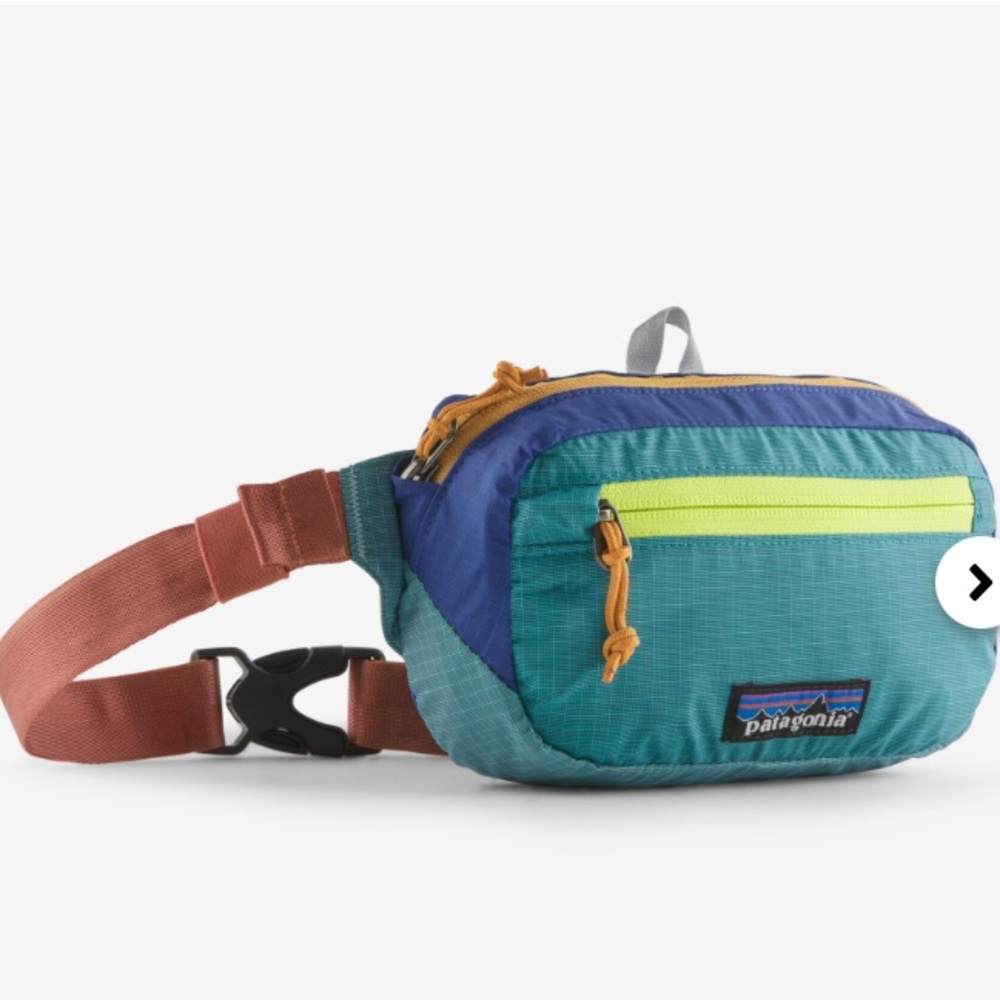 Patagonia belt bag